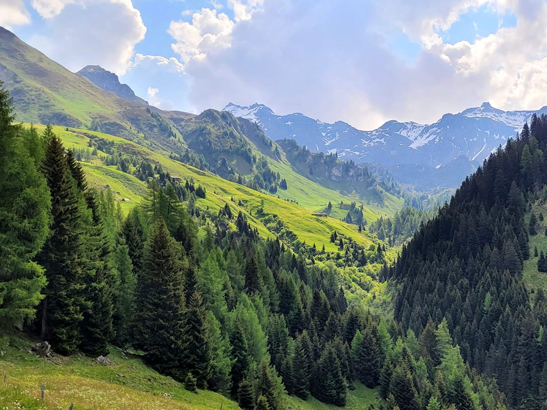 Saftig grüne Wiesen beim Wandern in den Tiroler Bergen